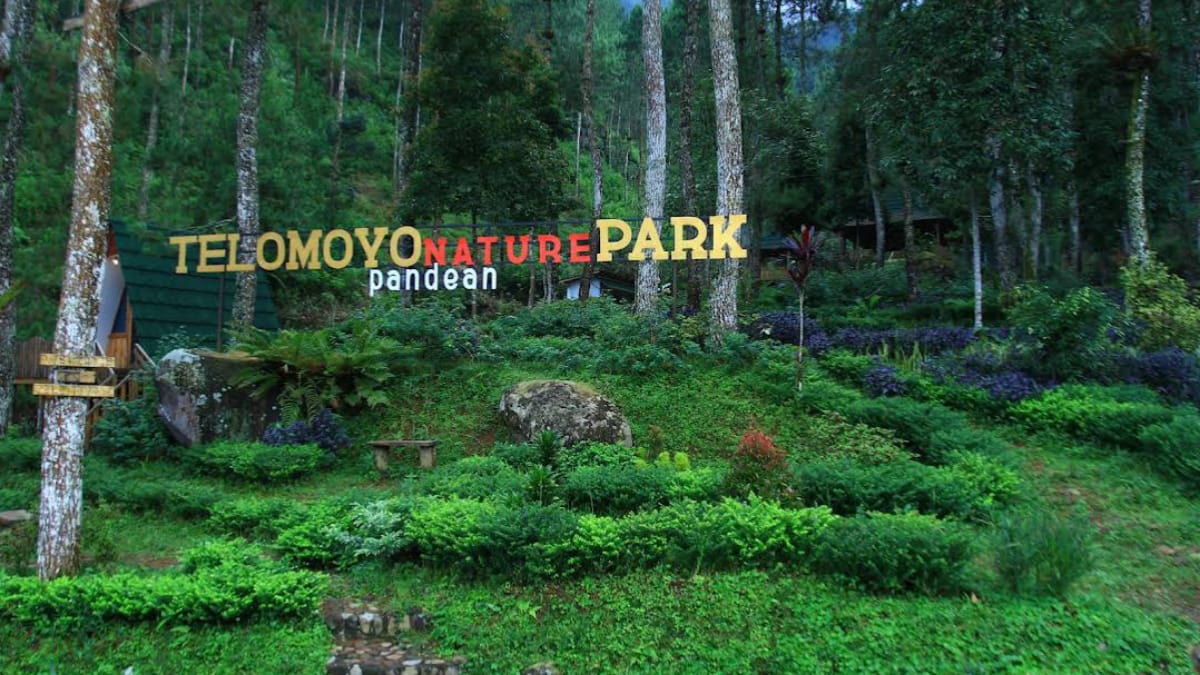 Telomoyo Nature Park: Petualangan Menakjubkan di Puncak Jawa Tengah